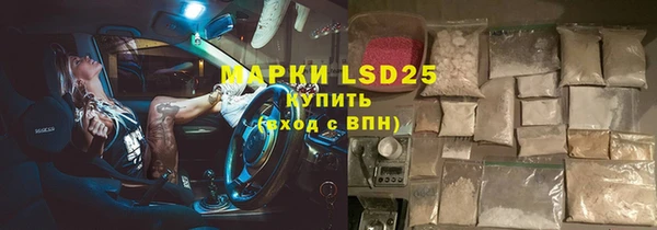 прущие грибы Балабаново