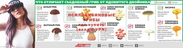 прущие грибы Балабаново