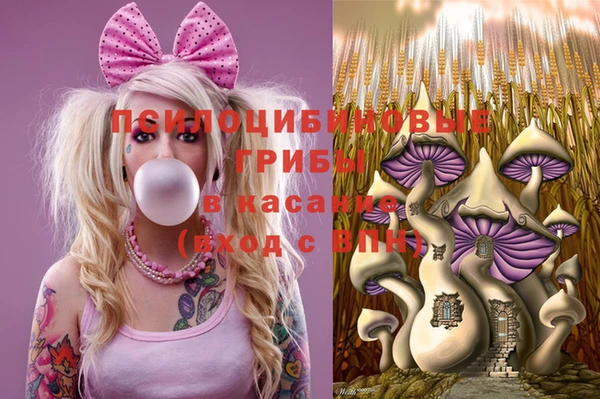 прущие грибы Балабаново