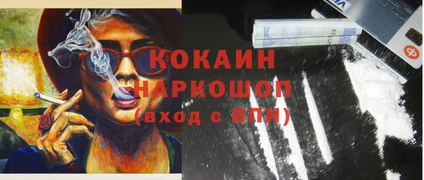 прущие грибы Балабаново