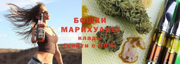 прущие грибы Балабаново