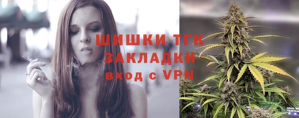 прущие грибы Балабаново
